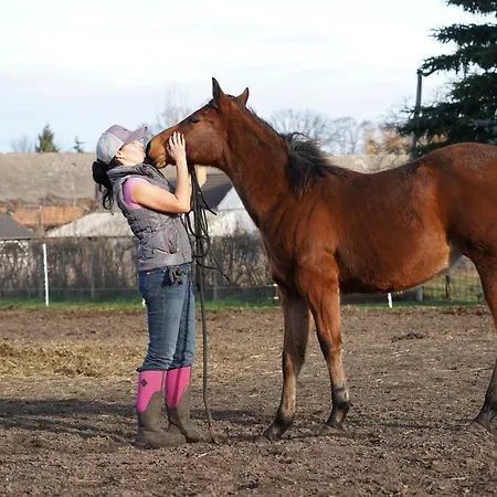 W Diamonds Ranch *